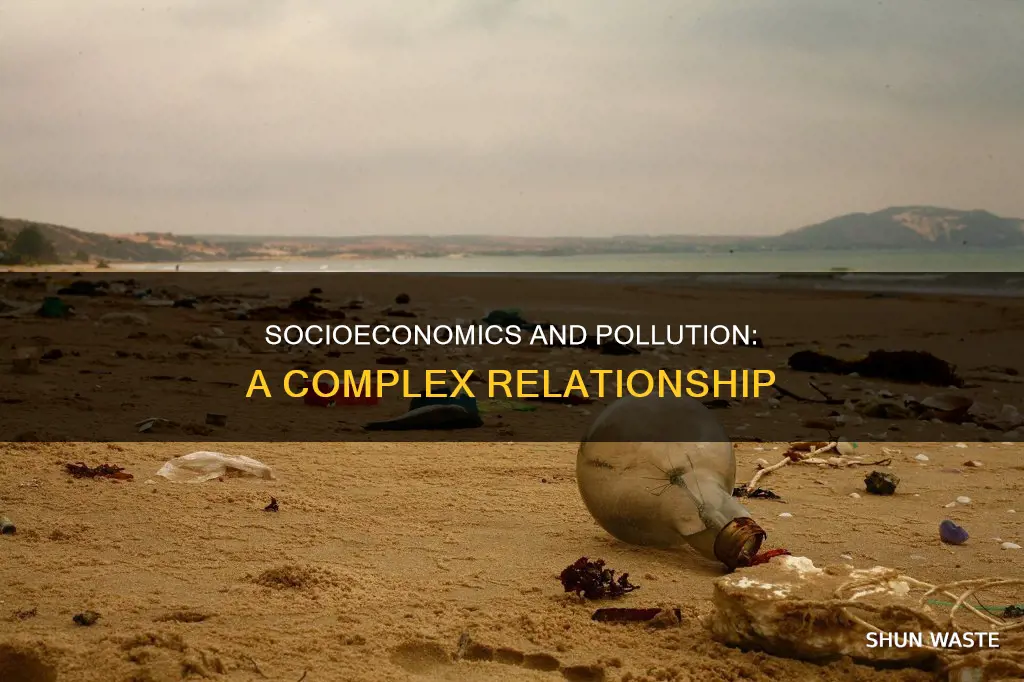 can socioeconomics affect pollution