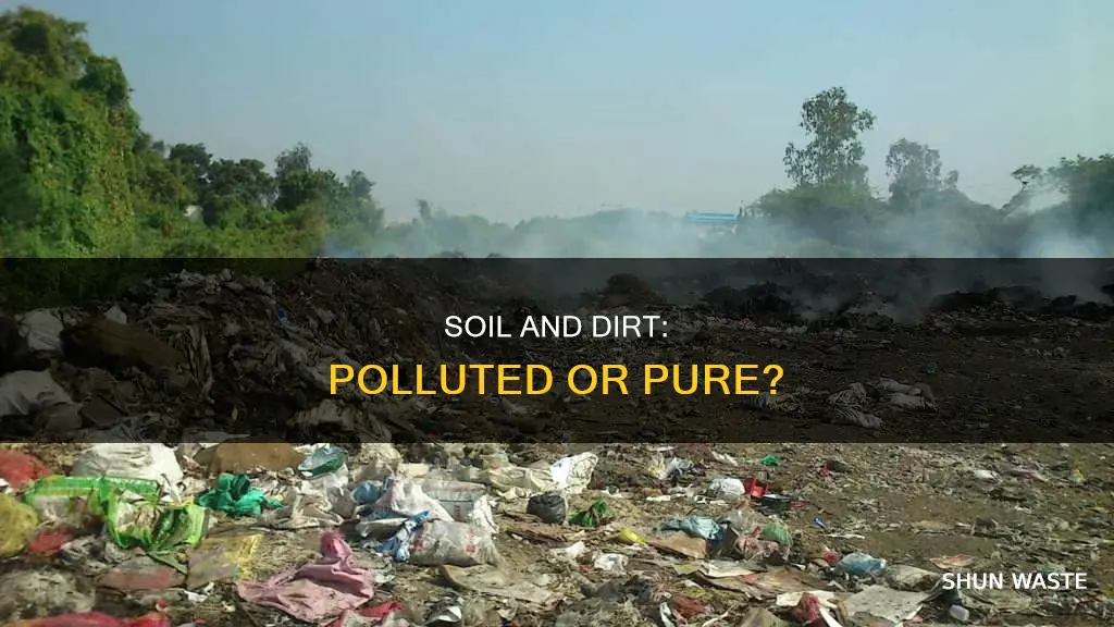 can soil and dirt be polluted