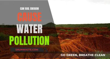 Soil Erosion: A Water Pollution Culprit?