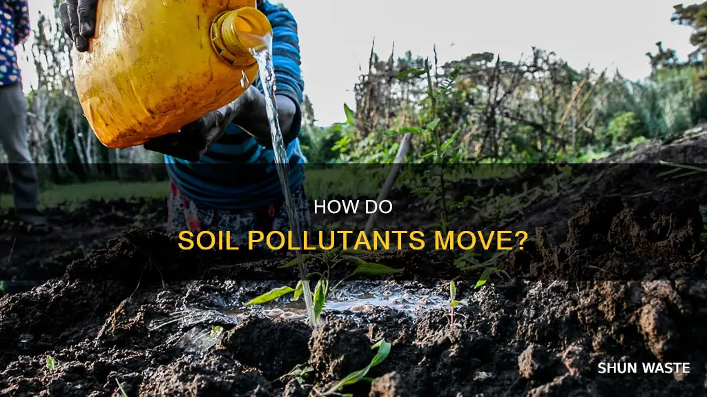 can soil pollutants evaporate wash away or infiltrate