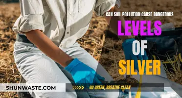 Soil Pollution: Silver's Toxic Legacy?