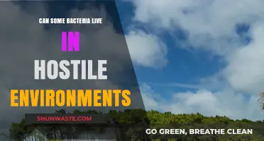 Surviving the Extreme: How Some Bacteria Thrive in Hostile Environments
