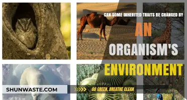 Environmental Influence: Can Inherited Traits Adapt and Evolve Over Time?