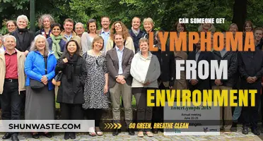 Environmental Factors and Lymphoma: Uncovering Potential Links and Risks