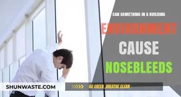 Building Factors Linked to Nosebleeds: Uncovering Environmental Triggers