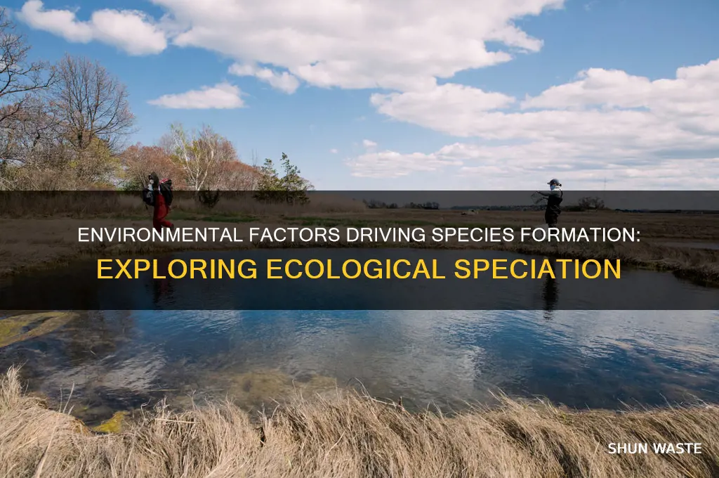 can speciation occur because of the environment