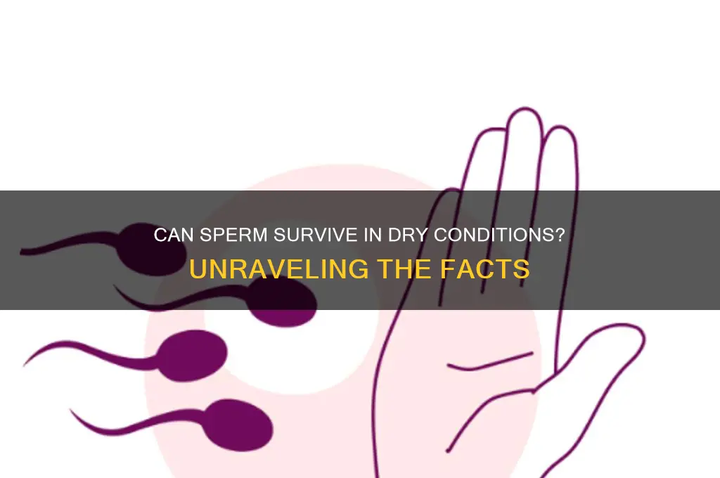 can sperm live in dry environment