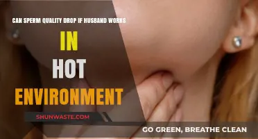 Hot Work Environments: Impact on Male Fertility and Sperm Quality