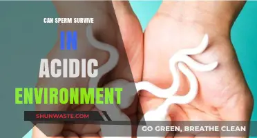 Can Sperm Survive in Acidic Environments? Exploring Fertility and pH Levels