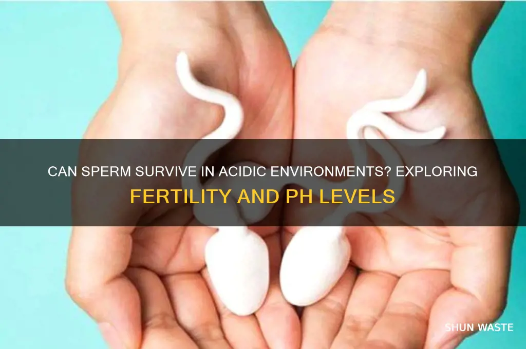 can sperm survive in acidic environment