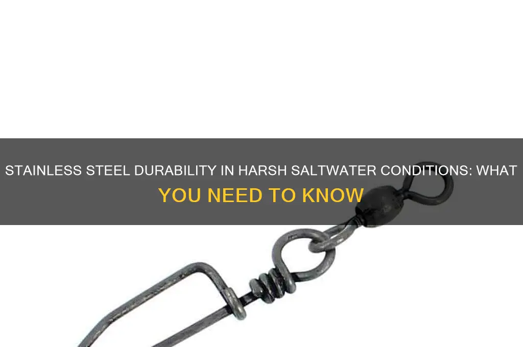 can stainless steel last in a heavy saltwater environment