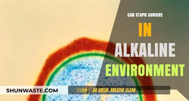 Can Staph Survive in Alkaline Environments? Exploring Bacterial Resilience