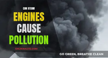 Steam Engines and Pollution: What's the Connection?