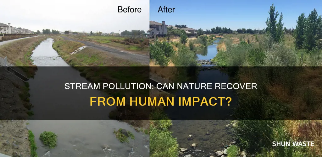 can streams recover from pollution