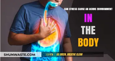 Stress and Acidity: How Emotional Strain Impacts Your Body's pH Balance