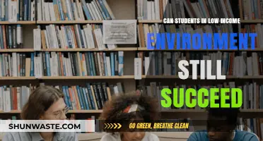 Overcoming Odds: Success Strategies for Students in Low-Income Environments