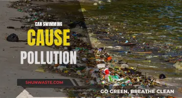 Swimming and Pollution: Unseen Environmental Impact