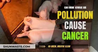 Swine Sewage Air: Cancer Causing Culprit?