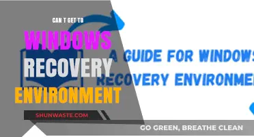 Troubleshooting Windows Recovery Environment: Solutions When You Can't Access It