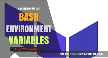 Using Bash Environment Variables in Terraform: A Comprehensive Guide