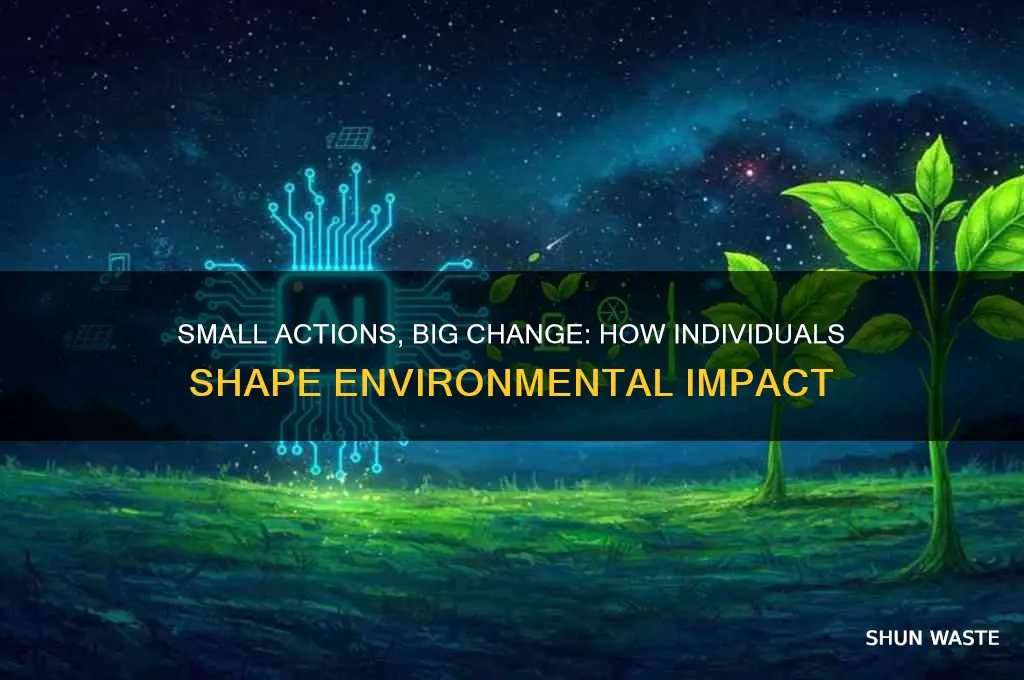 can the average person have an impact on the environment