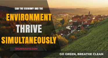 Balancing Growth and Green: Can Economy and Environment Coexist Harmoniously?
