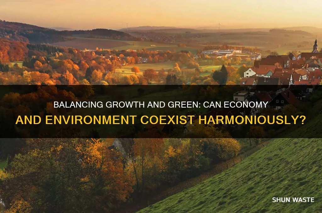 can the economy and the environment thrive simultaneously