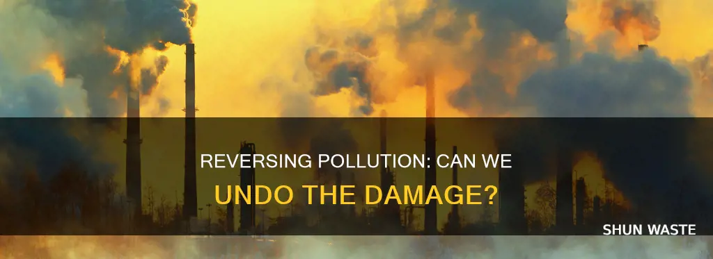 can the effects of pollution be reversed