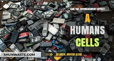 How Environmental Factors Influence Human Cellular Health and Function