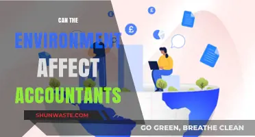 Environmental Factors Shaping Accountants' Work and Decision-Making Processes
