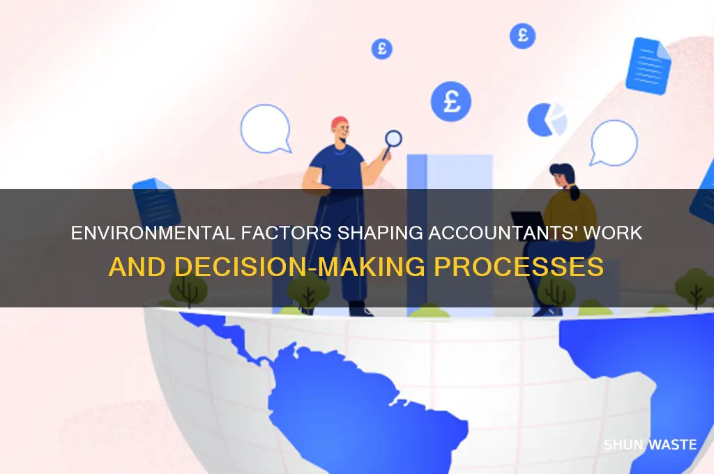 can the environment affect accountants