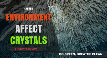 How Environmental Factors Influence Crystal Formation and Properties