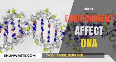 How Environmental Factors Influence DNA: Unraveling the Nature-Nurture Connection