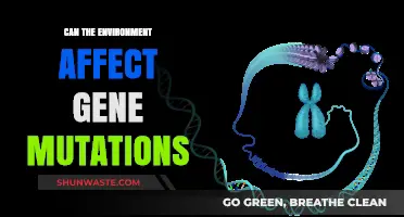 Environmental Factors: Unraveling Their Impact on Gene Mutations and Evolution