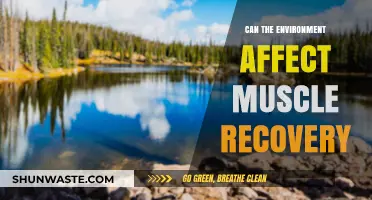 Environmental Factors: How Nature Impacts Muscle Recovery and Healing