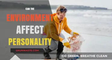 How Environmental Factors Shape Personality Traits and Individual Differences