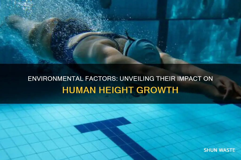 can the environment affect your height