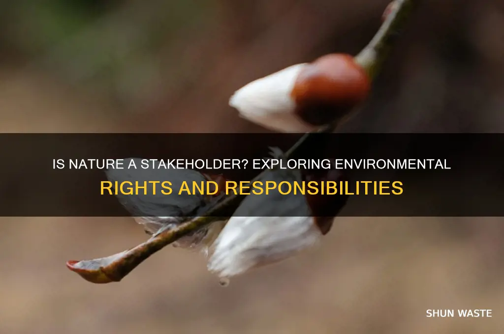 can the environment be a stakeholder
