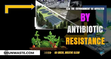 Antibiotic Resistance: A Hidden Threat to Our Environment's Health?
