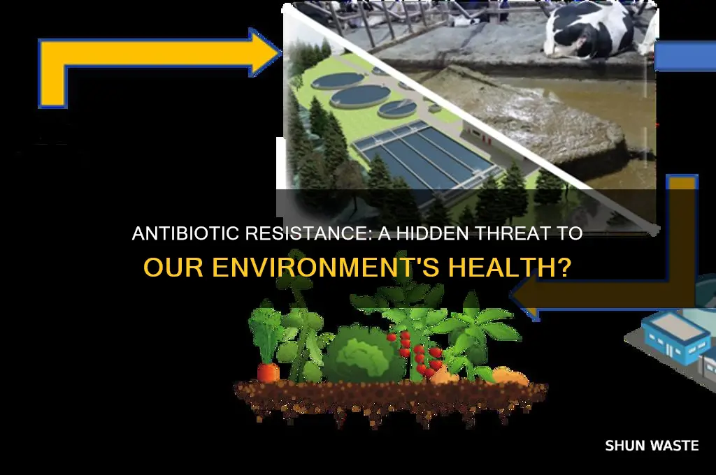 can the environment be affected by antibiotic resistance