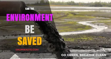 Saving Our Planet: Can We Reverse Environmental Damage?