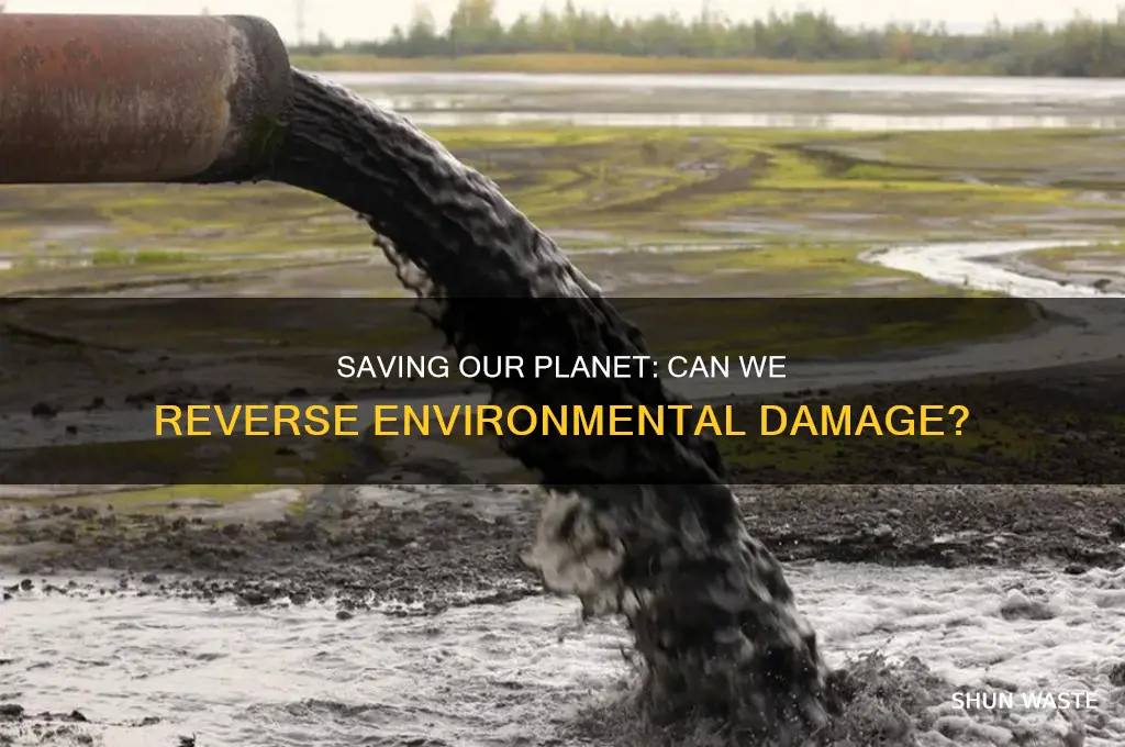 can the environment be saved