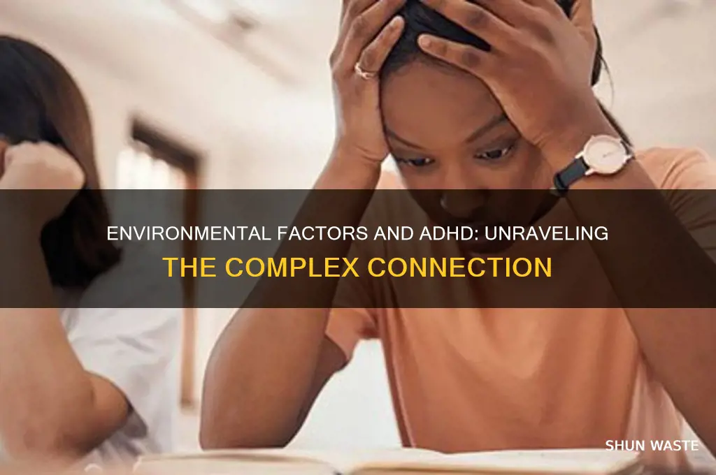 can the environment cause adhd