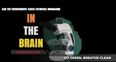 Environmental Triggers: Can Surroundings Disrupt Brain Chemistry?