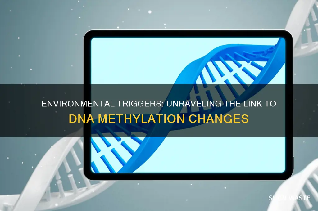 can the environment cause dna methylation