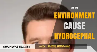 Environmental Factors and Hydrocephalus: Uncovering Potential Triggers and Risks