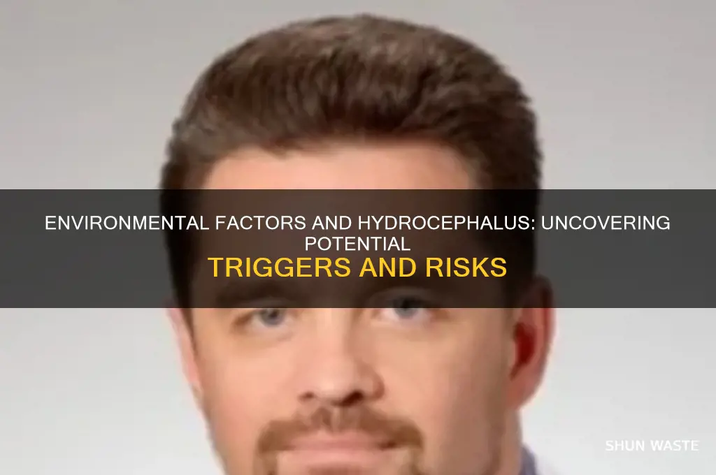 can the environment cause hydrocephalus