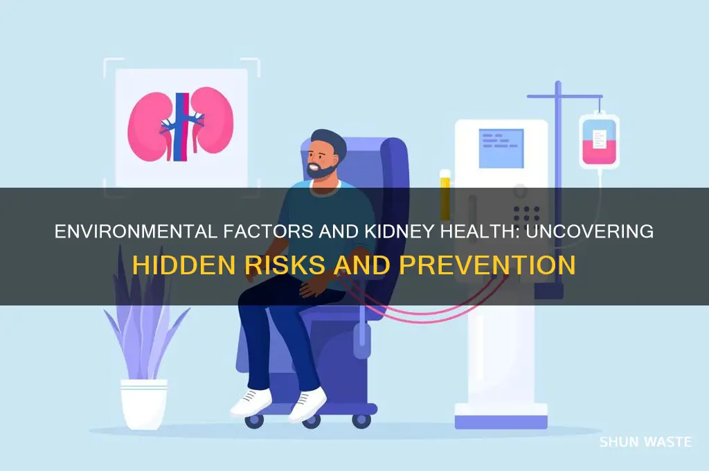 can the environment cause kidney disease