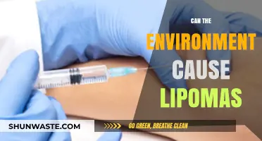 Environmental Factors and Lipomas: Uncovering Potential Triggers and Risks