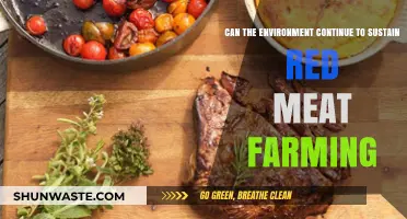 Red Meat Farming's Environmental Impact: Can Our Planet Sustain It?